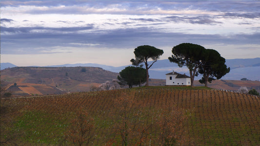 A white cottage on the brow of a hill pictured at sunset in the Spanish wine region of Bierzo