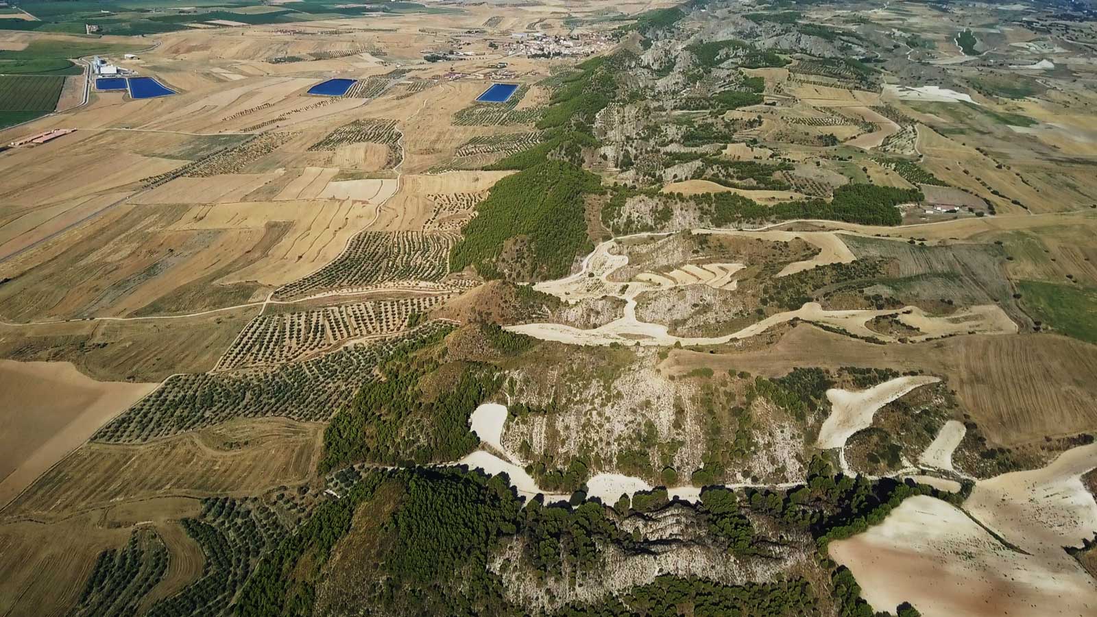 An aerial shot of vineyards at Spanish wine producer Lagravera