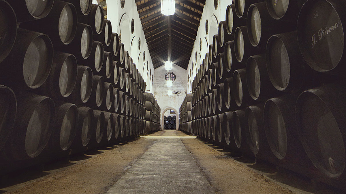 Barrels in a wine cellar