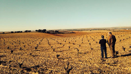 Spanish wine producer Hacineda Terra D'Uro