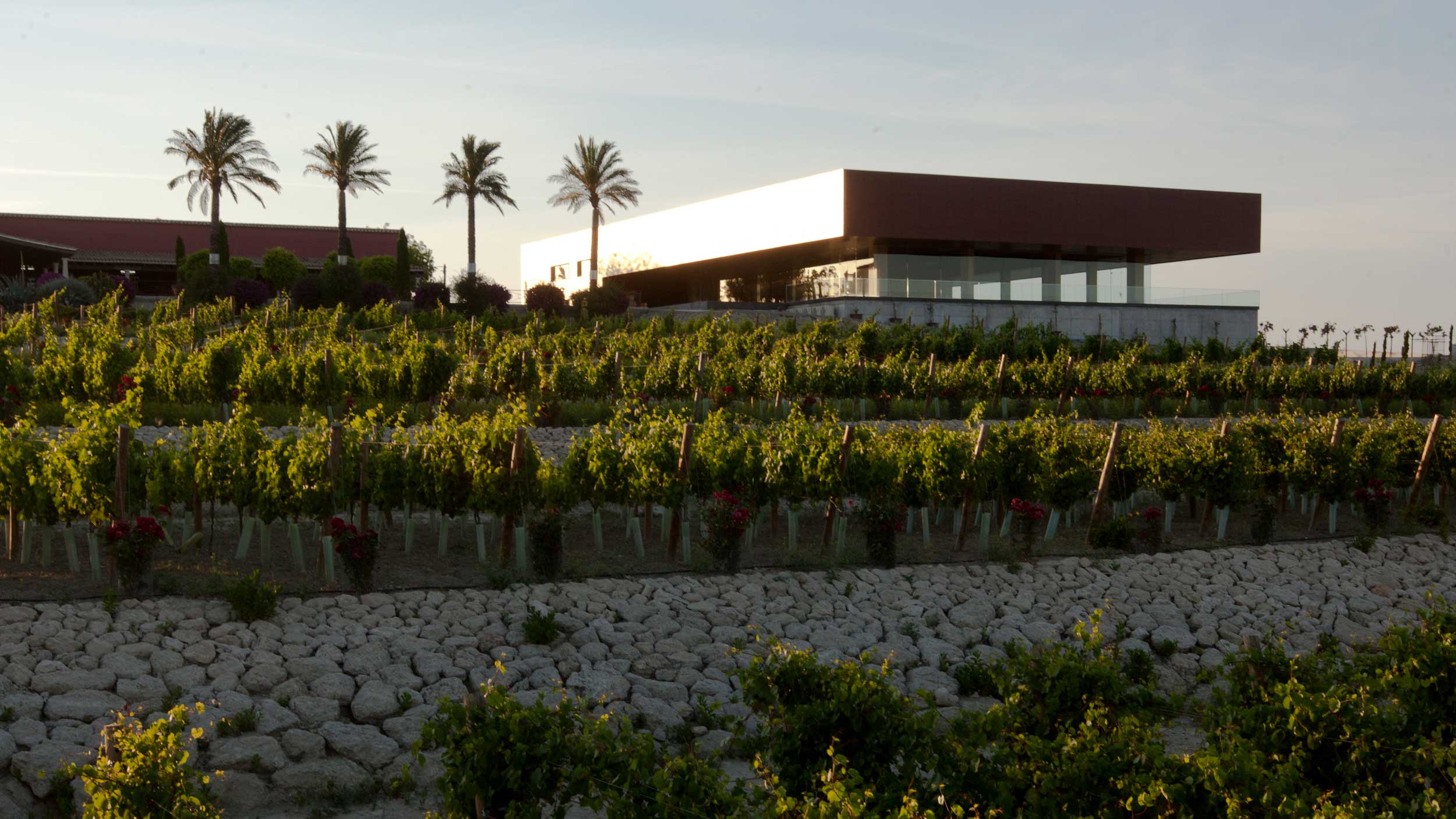 Spanish wine producer Bodegas Luis Pérez